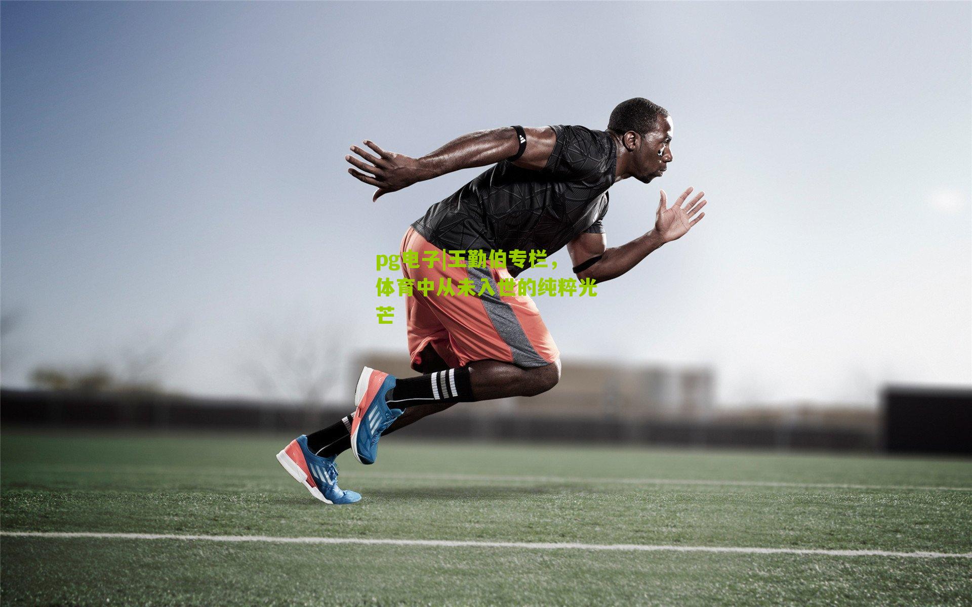 王勤伯专栏，体育中从未入世的纯粹光芒