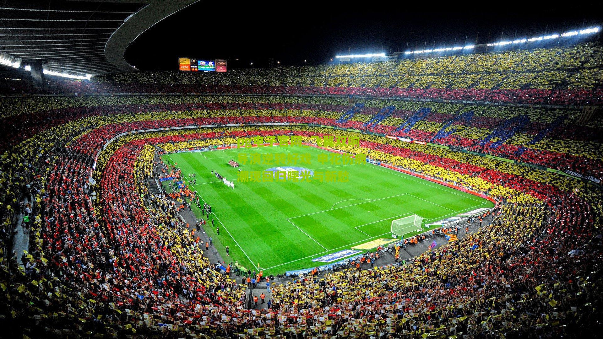 飞翼双响导演逆转好戏 申花伤病潮现回归曙光与新愁