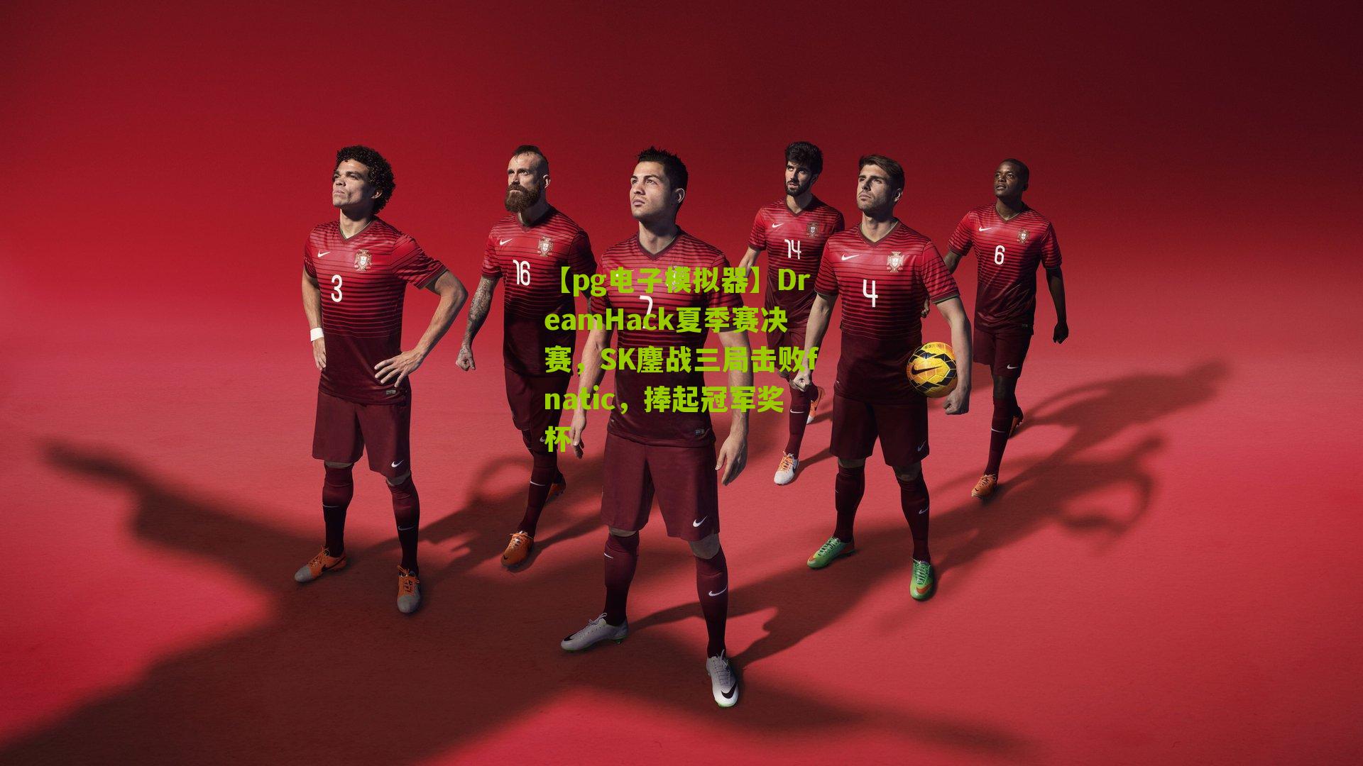 DreamHack夏季赛决赛，SK鏖战三局击败fnatic，捧起冠军奖杯